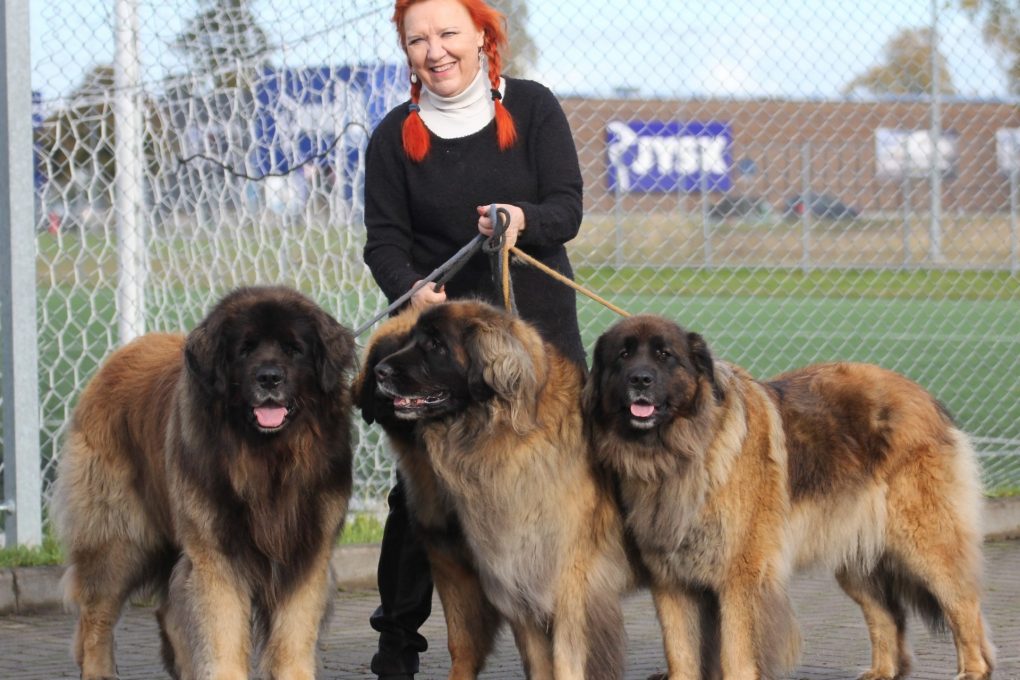 Marita Laine-Aro Sdp:stä KD-valtuutetuksi Nokialla: Demokratia syntynyt kristinuskosta - sen mukaan toimimalla ongelmat vähenisivät